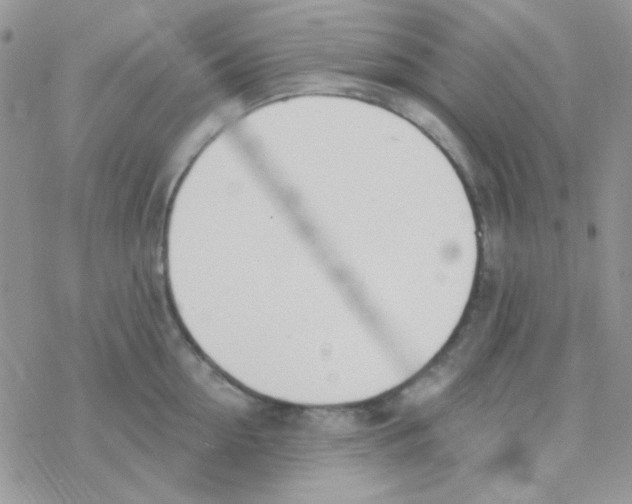 X0000077400954200611172101