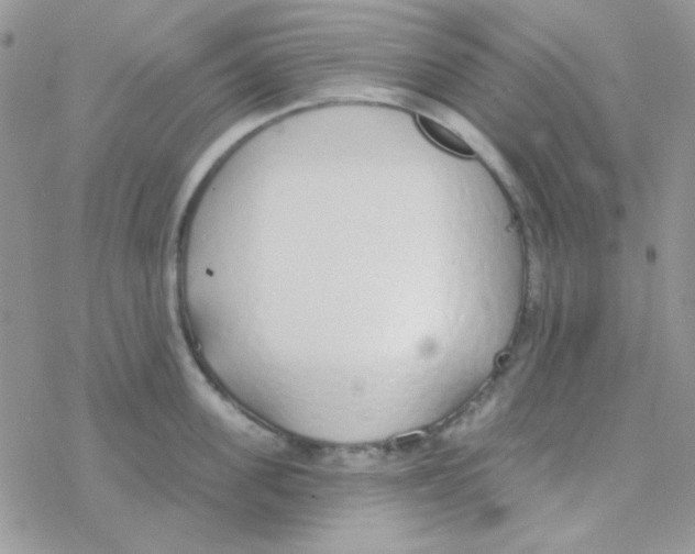 X0000077400955200611172101