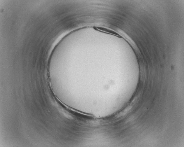 X0000077400956200611172101