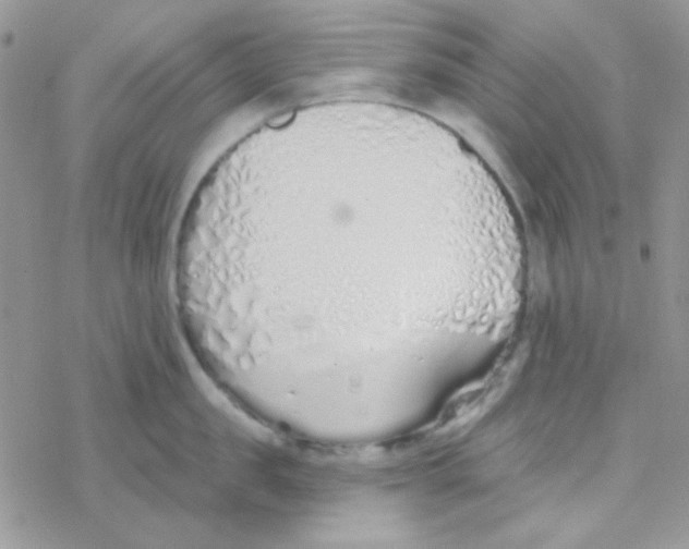 X0000077400957200611172101