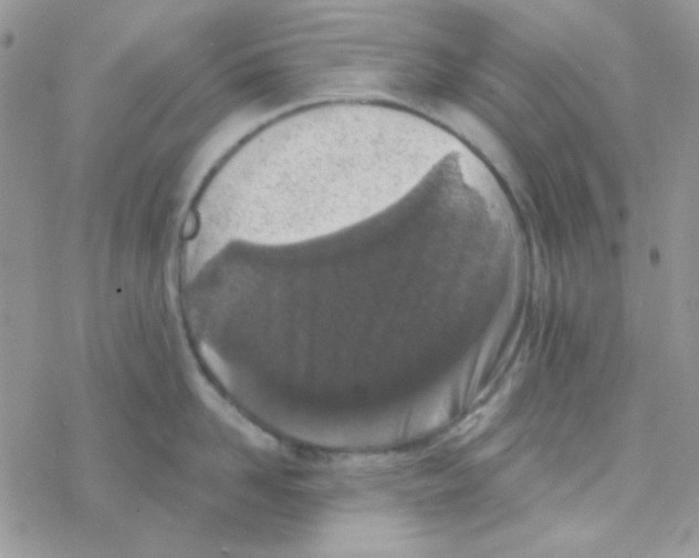 X0000077400958200611172101