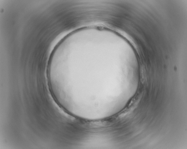 X0000077400959200611172101