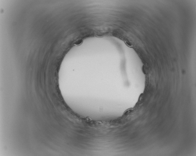 X0000077400961200611172100