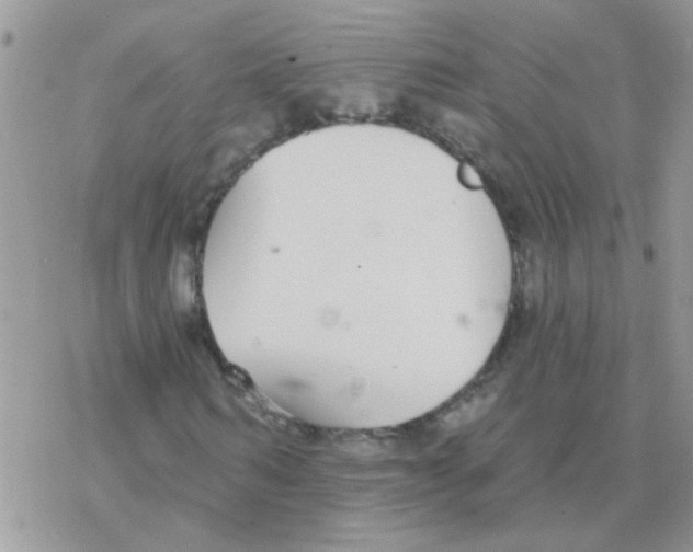 X0000077400962200611172100