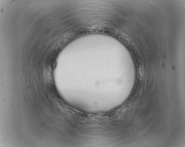 X0000077400963200611172100