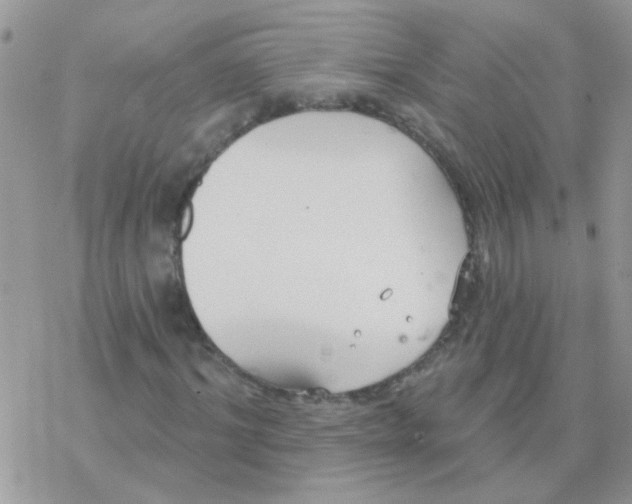 X0000077400964200611172100