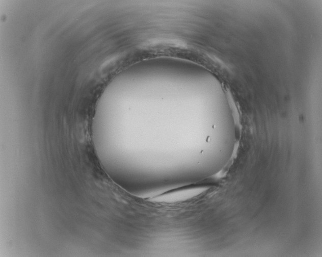 X0000077400965200611172100