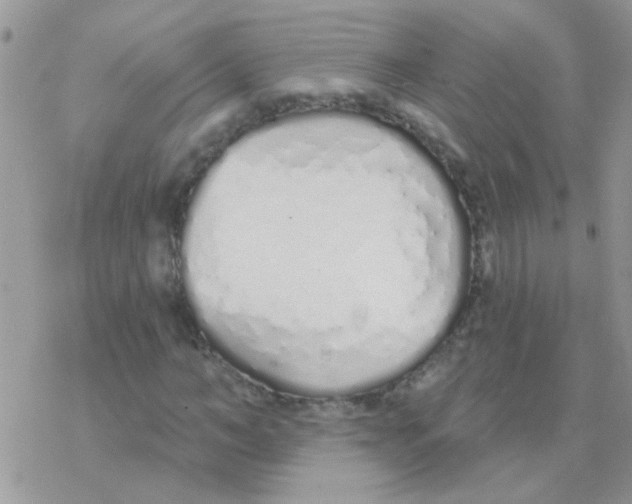 X0000077400966200611172100