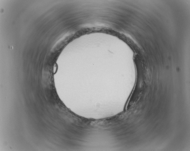 X0000077400967200611172100