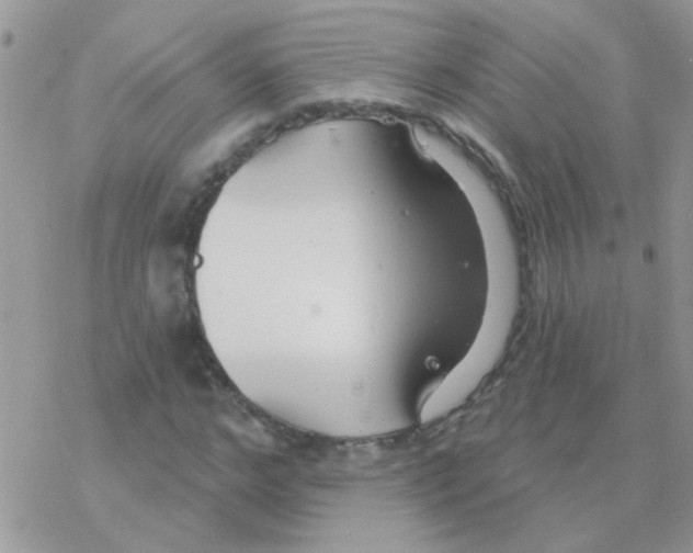 X0000077400968200611172100