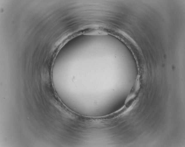 X0000077400969200611172100