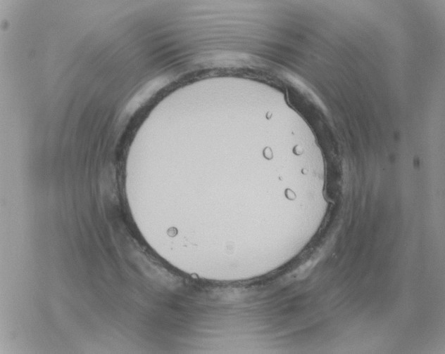 X0000077400970200611172100