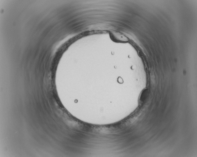 X0000077400971200611172100