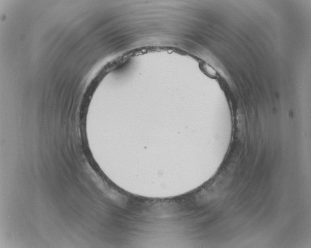 X0000077400972200611172100