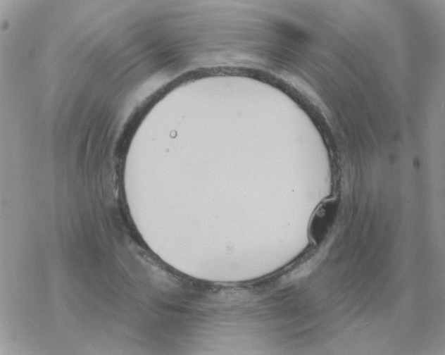 X0000077400974200611172100