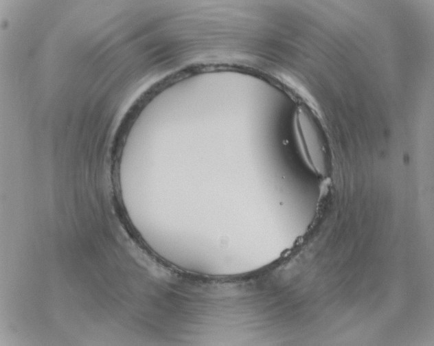 X0000077400976200611172100