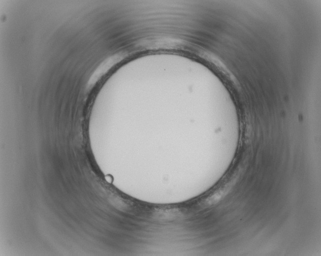 X0000077400978200611172100