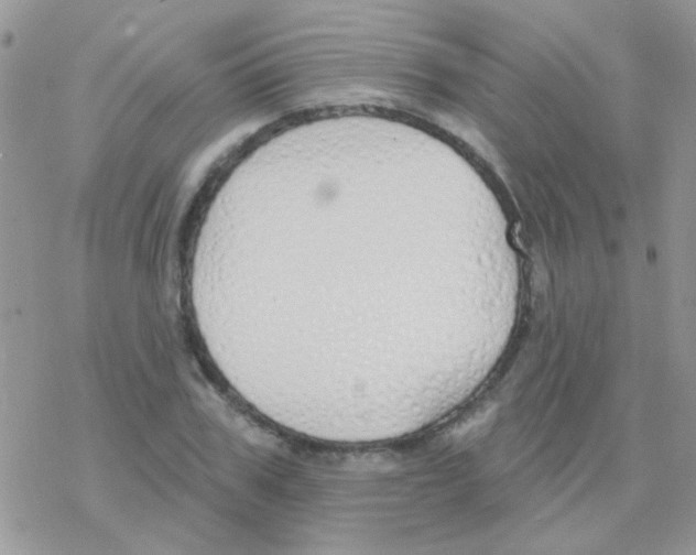 X0000077400979200611172100