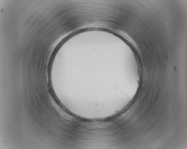 X0000077400980200611172100