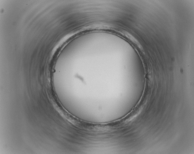 X0000077400981200611172100