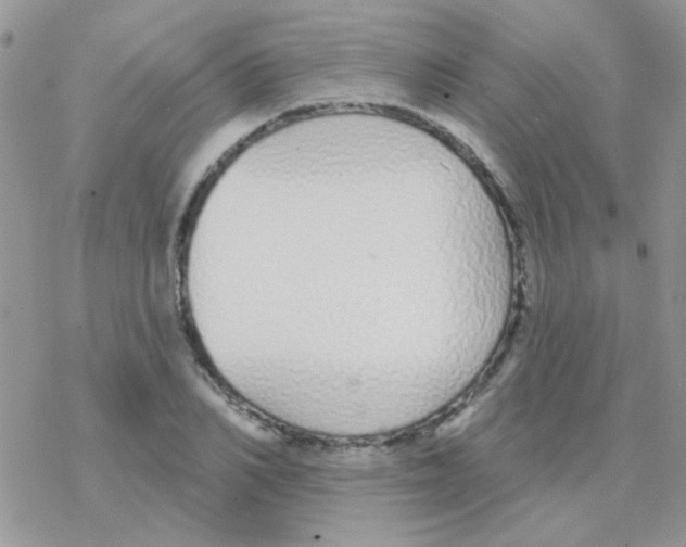 X0000077400982200611172100