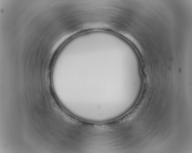 X0000077400983200611172100