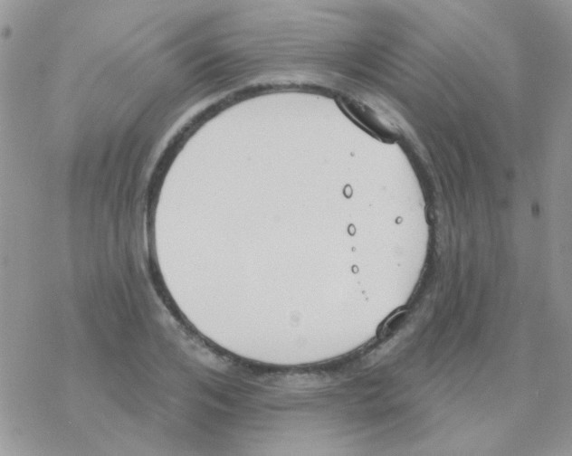 X0000077400984200611172100