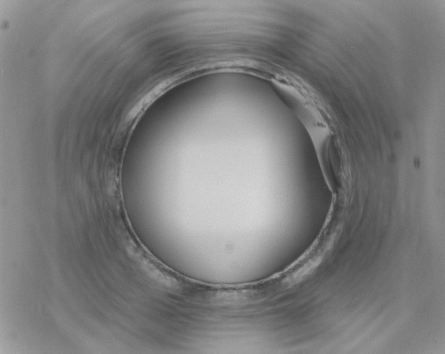 X0000077400985200611172059