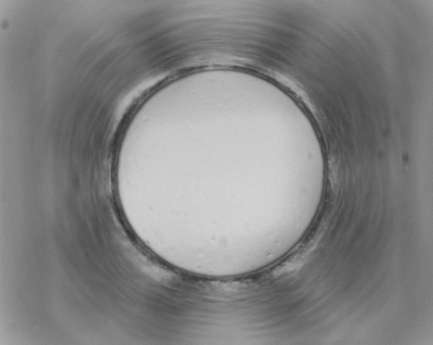 X0000077400987200611172059