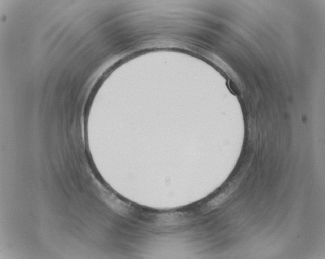 X0000077400988200611172059