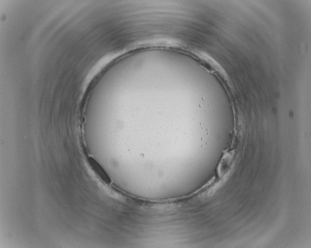 X0000077400989200611172059