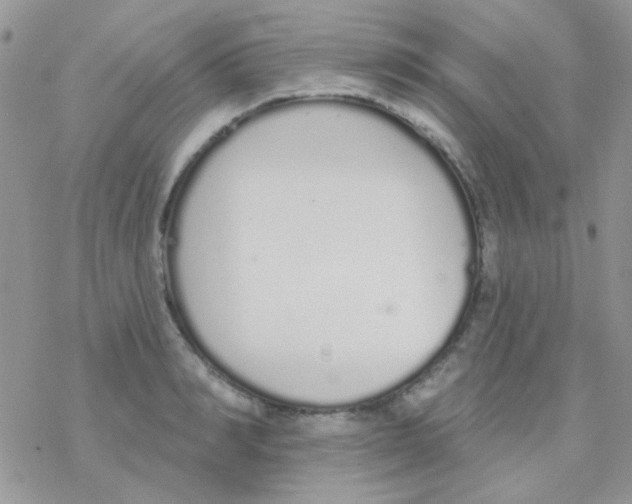 X0000077400990200611172059