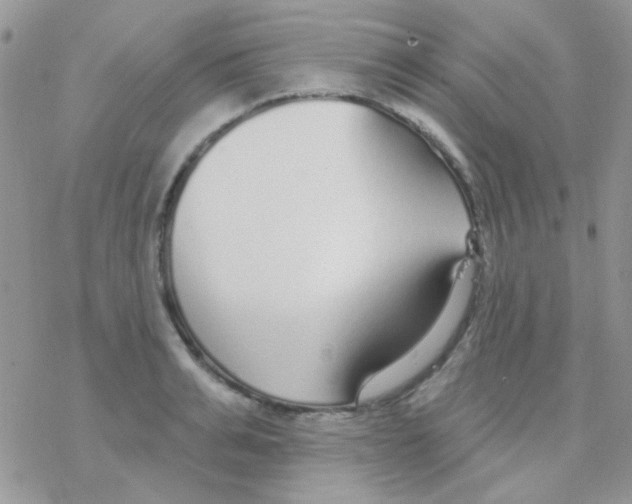 X0000077400991200611172059