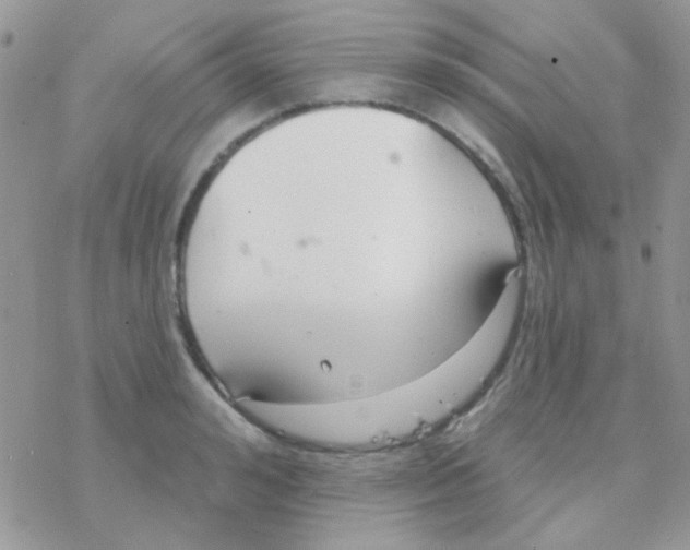 X0000077400992200611172059