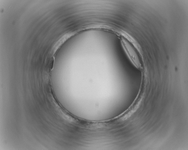 X0000077400993200611172059