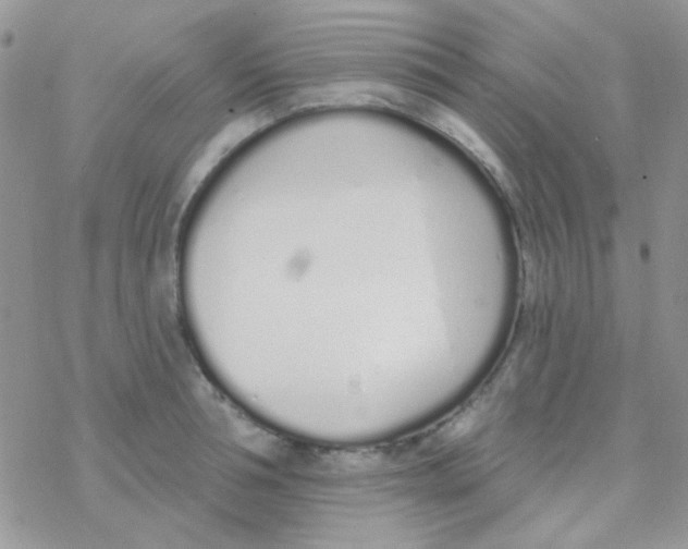 X0000077400994200611172059