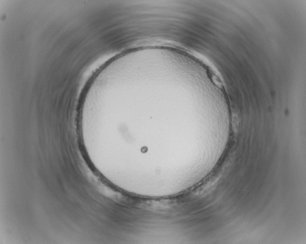 X0000077400995200611172059