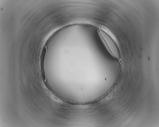 X0000077400996200611172059