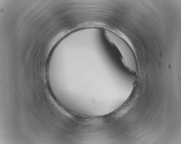 X0000077400997200611172059