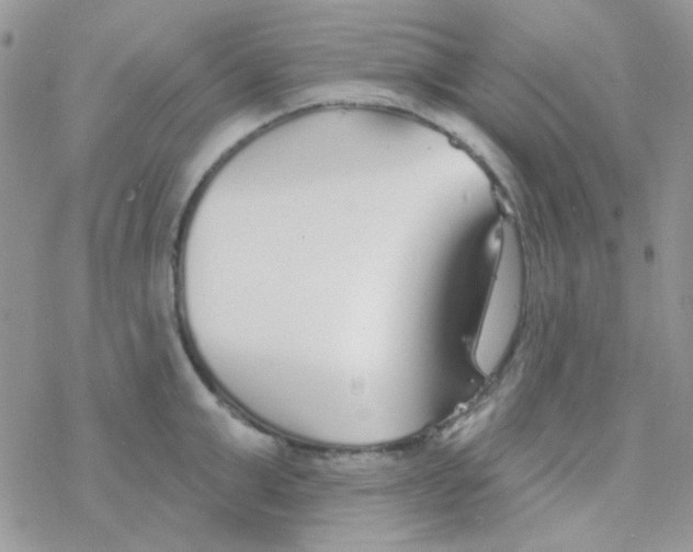 X0000077400999200611172059