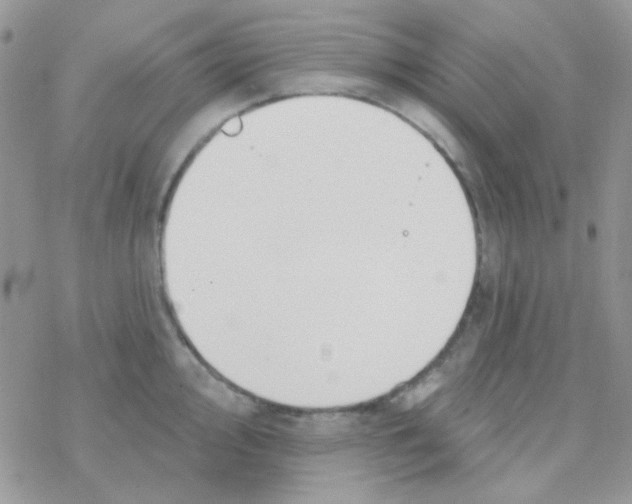 X0000077401000200611172059