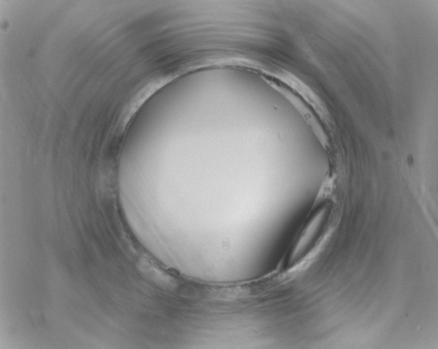 X0000077401001200611172059