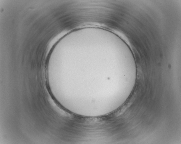 X0000077401003200611172059