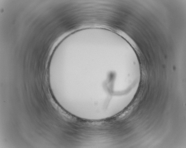 X0000077401004200611172059