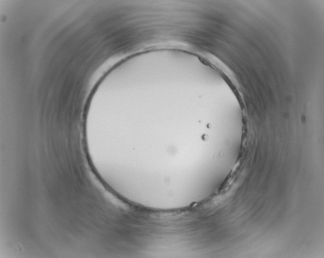 X0000077401005200611172059