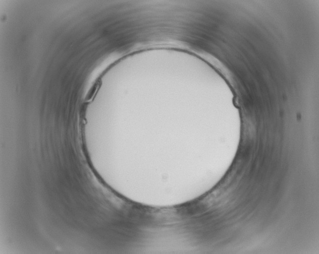 X0000077401006200611172059