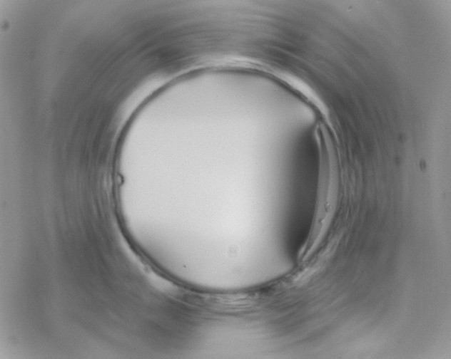 X0000077401007200611172059