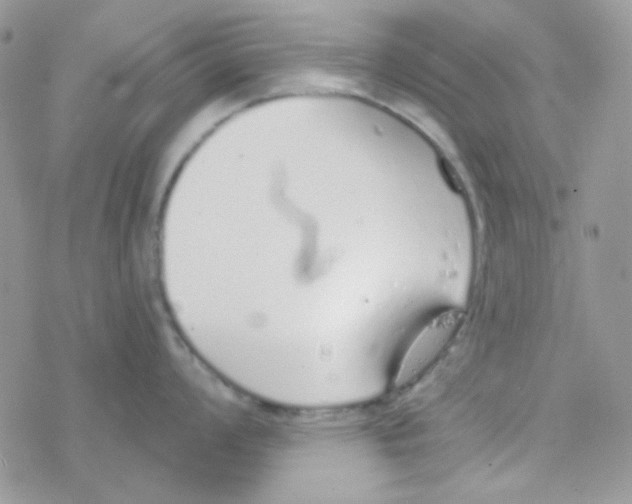 X0000077401008200611172059