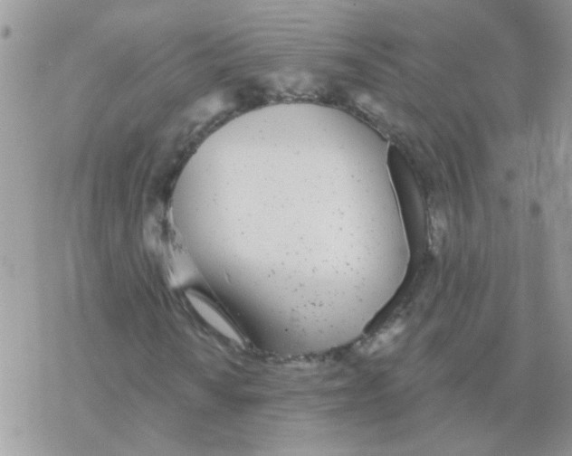 X0000077401010200611172058