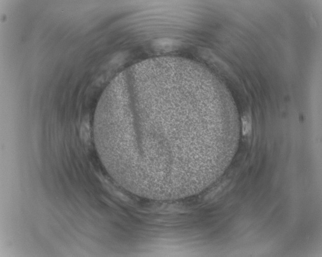 X0000077401011200611172058